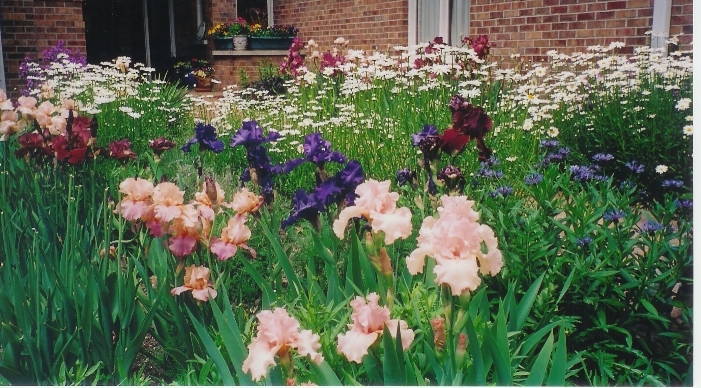 Gardens 2005-1.JPG